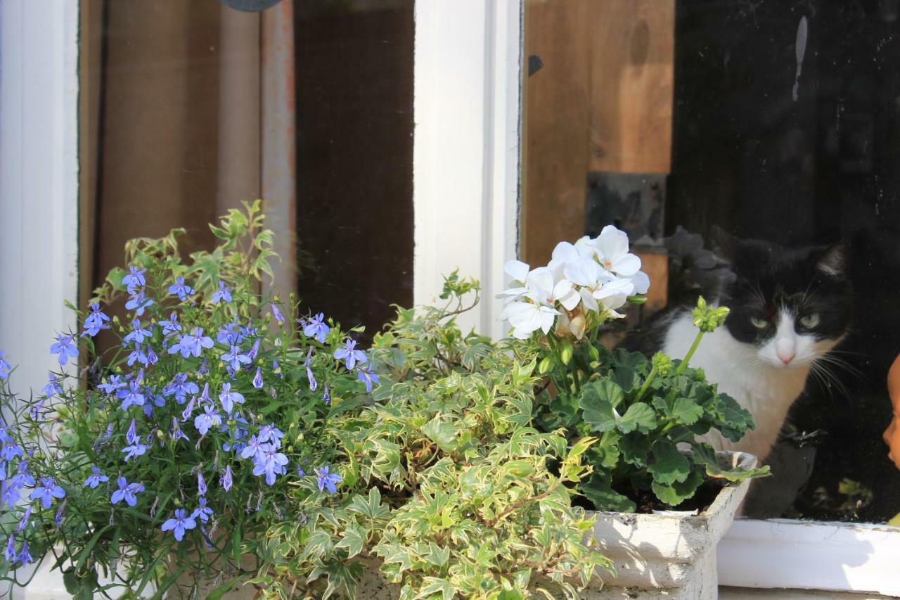 La Passiflore B&B Bossiere Buitenkant foto