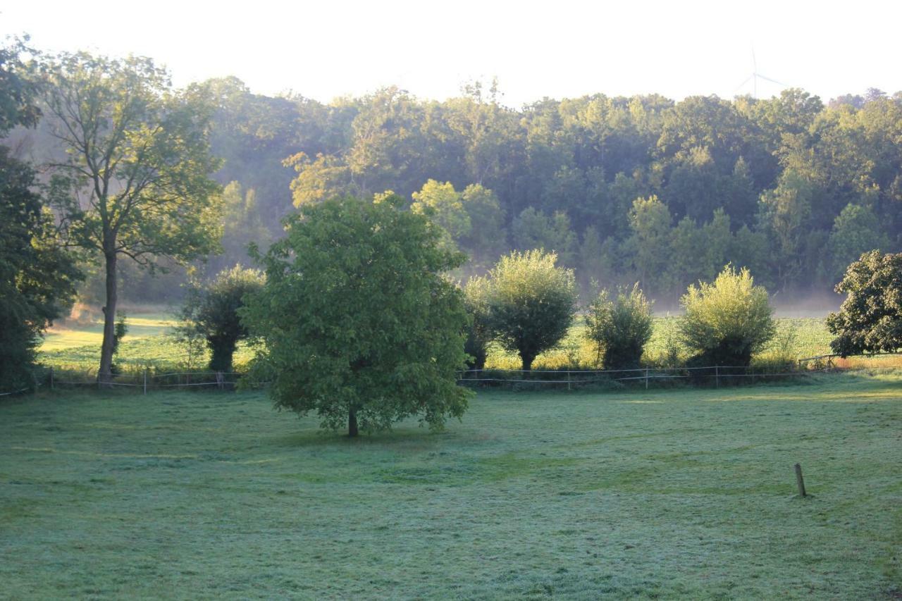 La Passiflore B&B Bossiere Buitenkant foto