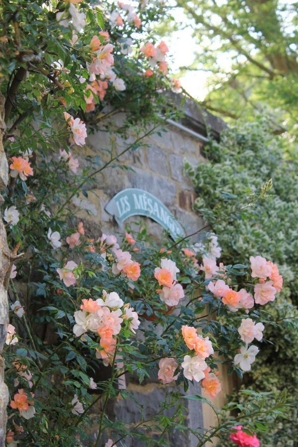 La Passiflore B&B Bossiere Buitenkant foto